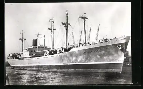 AK Handelsschiff MS Schelde Lloyd des Rotterdamschen Lloyds im Hafen anliegend