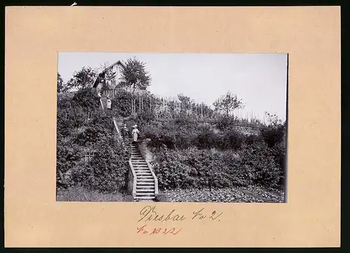 Fotografie Brück & Sohn Meissen, Ansicht Diesbar, Aufganig zum Haus von Hempel's Rosengarten