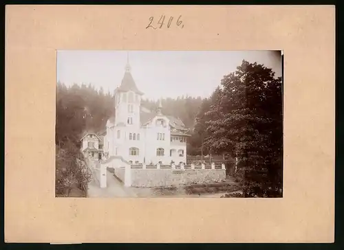 Fotografie Brück & Sohn Meissen, Ansicht Marienbad, Villa St. Hubertus