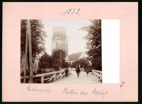 Fotografie Brück & Sohn Meissen, Ansicht Liebenwerda, Brücke vor dem Schloss