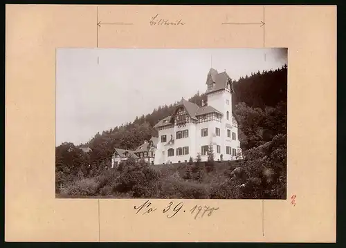 Fotografie Brück & Sohn Meissen, Ansicht Marienbad, Villa Luginsland
