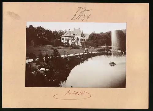 Fotografie Brück & Sohn Meissen, Ansicht Bad Elster, Albert-Park Villa mit Carola-Weiher