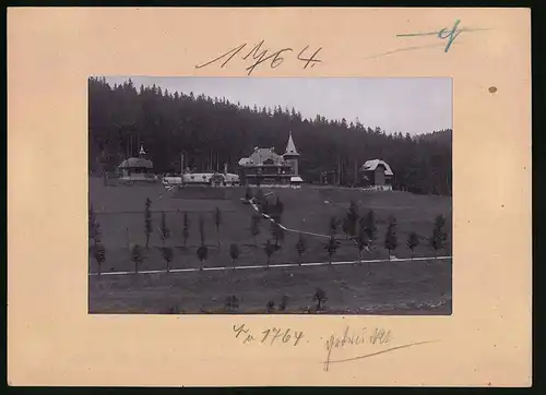 Fotografie Brück & Sohn Meissen, Ansicht Rehefeld i. Erzg., Partie mit Blick auf das Jagdschloss