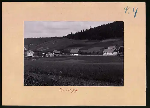 Fotografie Brück & Sohn Meissen, Ansicht Rehefeld i. Erzg., Blick in den Ort mit Gutshöfen