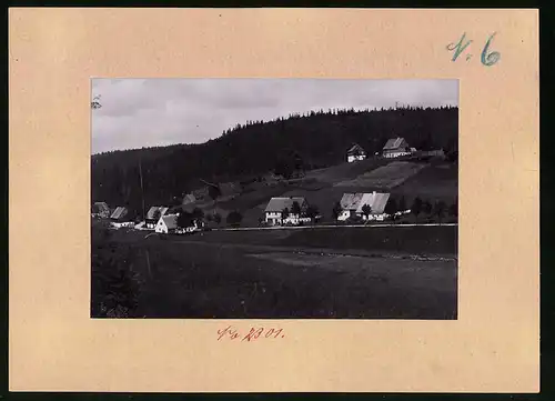 Fotografie Brück & Sohn Meissen, Ansicht Rehefeld i. Erzg., Teilansicht des Ortes mit Wohnhäusern