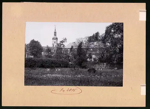 Fotografie Brück & Sohn Meissen, Ansicht Pulsnitz, Parkanlage mit Blick auf das Schloss