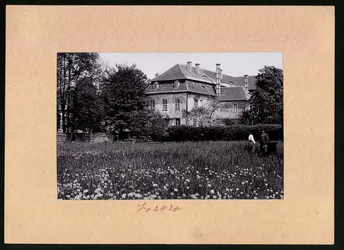 Fotografie Brück & Sohn Meissen, Ansicht Pulsnitz, Blick von der Wiese auf das Schloss