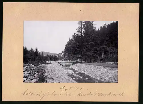 Fotografie Brück & Sohn Meissen, Ansicht Kipsdorf i. Erzg., Blick auf die Weisseritz mit Häuser