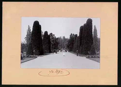 Fotografie Brück & Sohn Meissen, Ansicht Moritzburg, Partie im Schlossgarten des Jagdschlosses