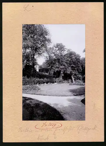 Fotografie Brück & Sohn Meissen, Ansicht Dahlen, Blick in den Herrschaftlichen Schlosspark