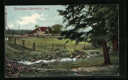 AK Oderbrück /Harz, Partie am Forsthaus