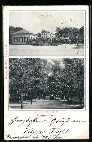 AK Franzensbad, Curplatz und Salzquell-Allee