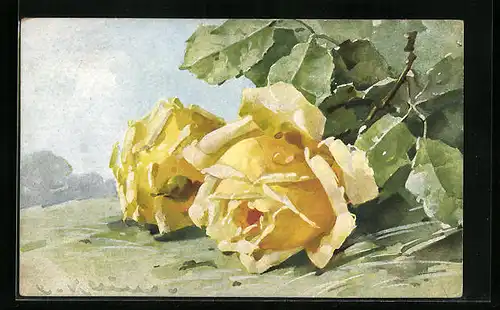 Künstler-AK Catharina Klein: Zwei gelbe Rosen in voller Blüte