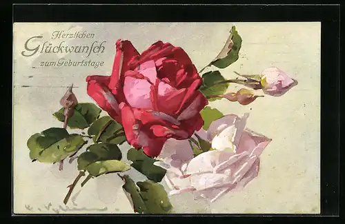 Künstler-AK Catharina Klein: Rote und rosa Rose mit Knospen