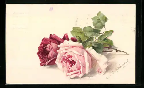 Künstler-AK Catharina Klein: Rote und blassrosa Rose
