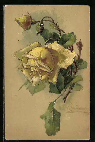 Künstler-AK Catharina Klein: Gelbe Rose mit Knospen