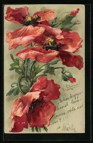 Künstler-AK Catharina Klein: Blühender Mohn und Knospen