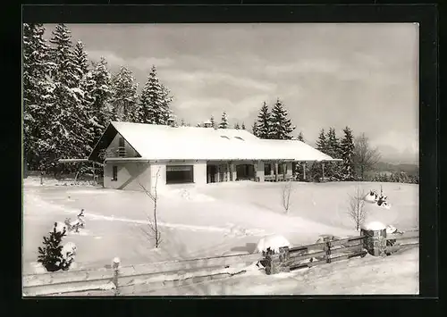 AK Ebnet /Hochschwarzwald, Café Landhaus Sonnenberg