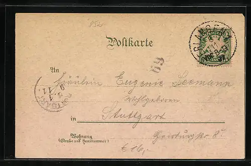 Lithographie Erlangen, Ortsansicht aus der Vogelschau, Blumen