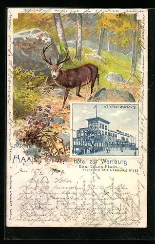 Lithographie Haake b. Harburg, Hotel zur Wartburg, Waldpartie mit Rothirsch