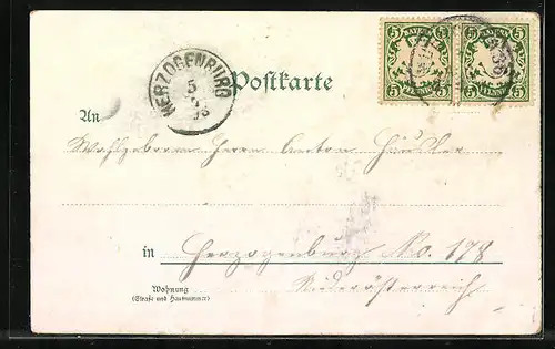 Lithographie München, Theatinerkirche und Ludwigskirche, Private Stadtpost