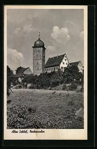 AK Neckarsulm, Altes Schloss mit Wiese