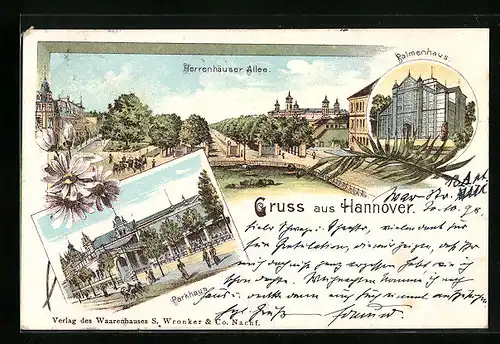Lithographie Hannover, Herrenhäuser Allee, Parkhaus, Palmenhaus im Berggarten