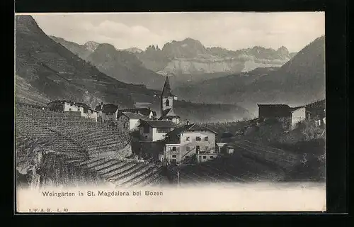 AK Bozen, St. Magdalena, An den Weingärten