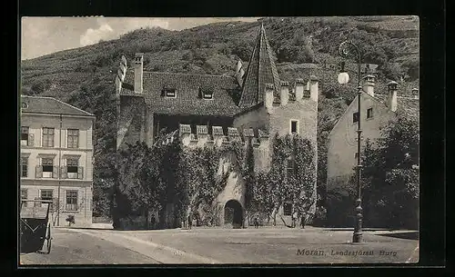 AK Meran, Die landesfürstliche Burg