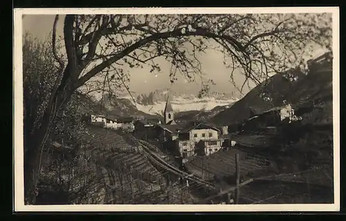 AK S. Magdalena, Häuser hinter den Weinbergen, Bergpanorama