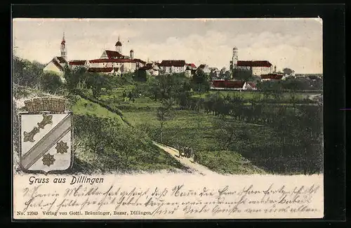 AK Dillingen, Teilansicht mit Wappen