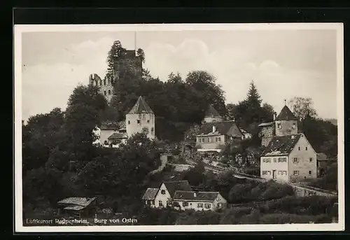 AK Pappenheim, Burg von Osten