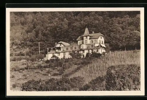 AK Freiburg i. B., Schlossrestaurant Dattler, Bes. Adolf Dattler