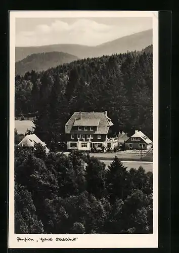 AK Hinterzarten /Schwarzwald, Pension mit umgebendem Wald