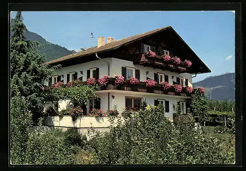 AK Dorf Tirol b. Meran, Pension Garni Rebhof, Haslachweg 26