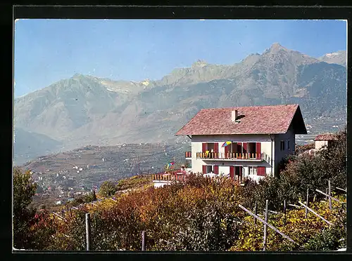 AK Schenna-Meran, Pension Haus Rebgut