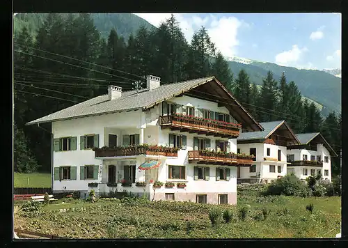 AK St. Jakob /Ahrntal, Pension Jungmann mit Gemüsegarten