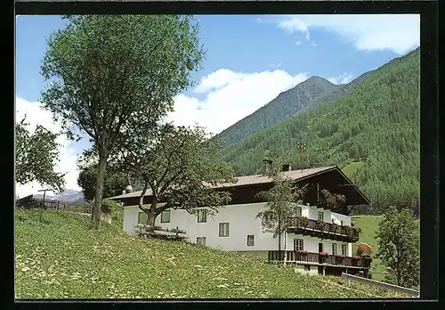 AK St. Jakob /Ahrntal, Ferienheim Familie Josef Steger