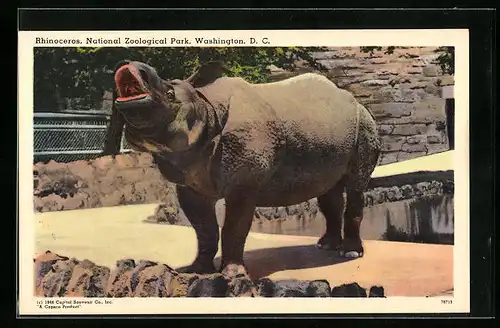 AK Washington, Rufendes Rhinozeros im National Zoological Park