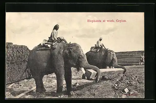 AK Ceylon, Arbeitselefanten bei der Arbeit