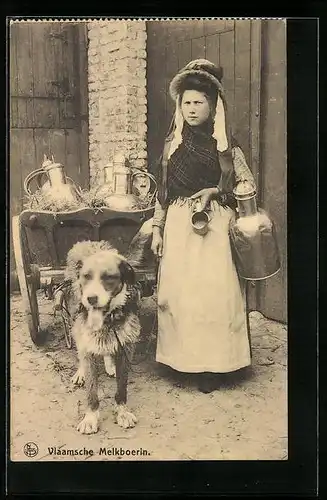 AK Flämische Milchbäuerin mit Hundegespann