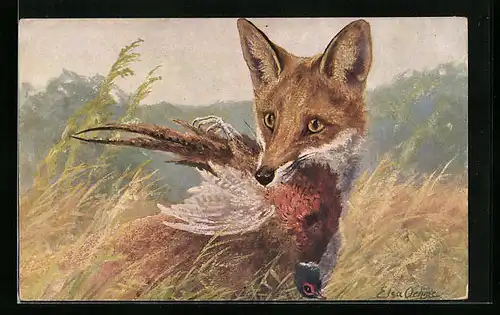 Künstler-AK Fuchs mit Beutevogel im Maul
