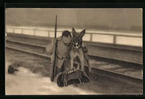 AK Verwundeter Soldat und Sanitätshund neben Bahnschienen