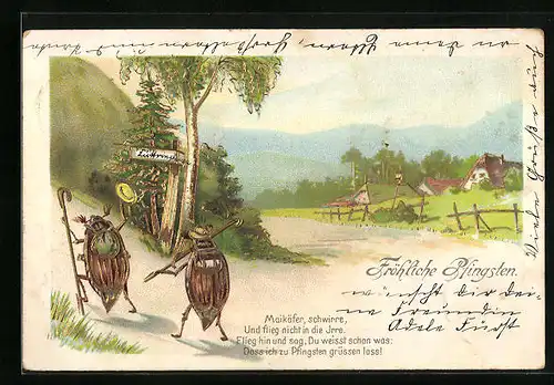 Lithographie Zwei Maikäfer mit Rucksäcken auf Wanderschaft im Frühling - Pfingstgruss, Goldfarbe