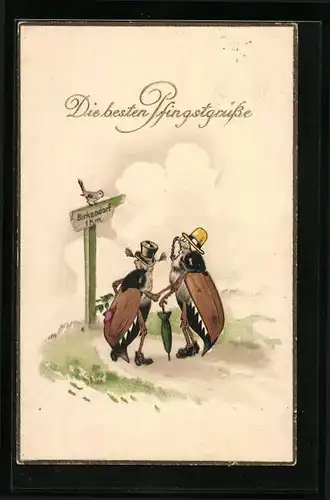 Künstler-AK Maikäferpaar mit Hüten und Stockschirm auf dem Weg nach Birkendorf - Pfingstgruss
