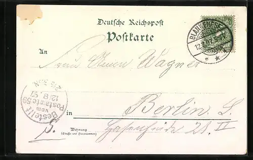 Lithographie Hamburg-Blankenese, Ortsansicht mit Dampfern