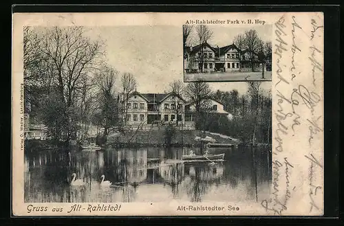 AK Hamburg-Rahlstedt, See mit Schwänen und Ruderboot