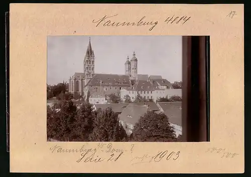 Fotografie Brück & Sohn Meissen, Ansicht Naumburg / Saale, Blick zum Dom