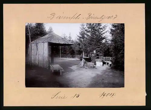 Fotografie Brück & Sohn Meissen, Ansicht Bärenfels, Wettinplatz mit Pavillon