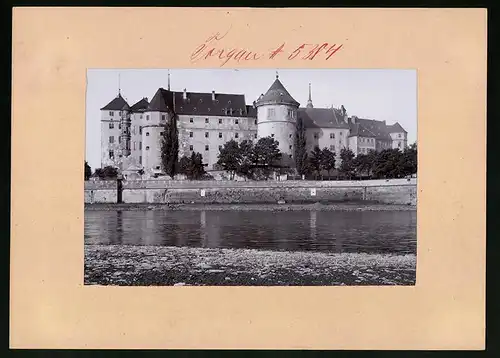 Fotografie Brück & Sohn Meissen, Ansicht Torgau, Schloss Hartenfels